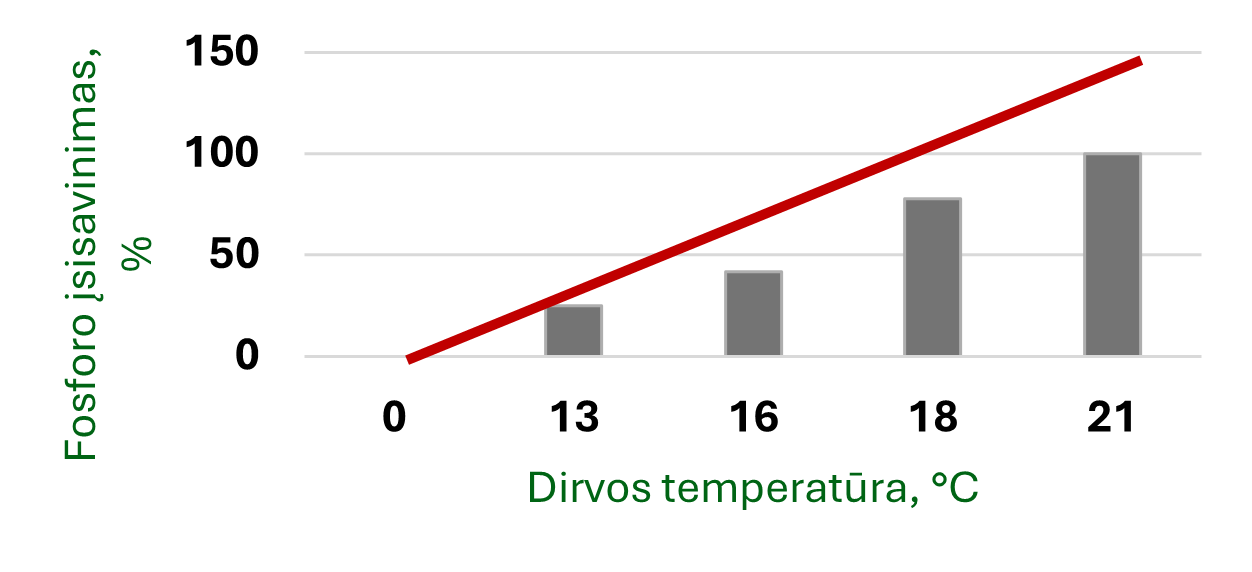 pav. 3. Fosforo trąšų efektyvumas labai priklauso nuo dirvožemio temperatūros