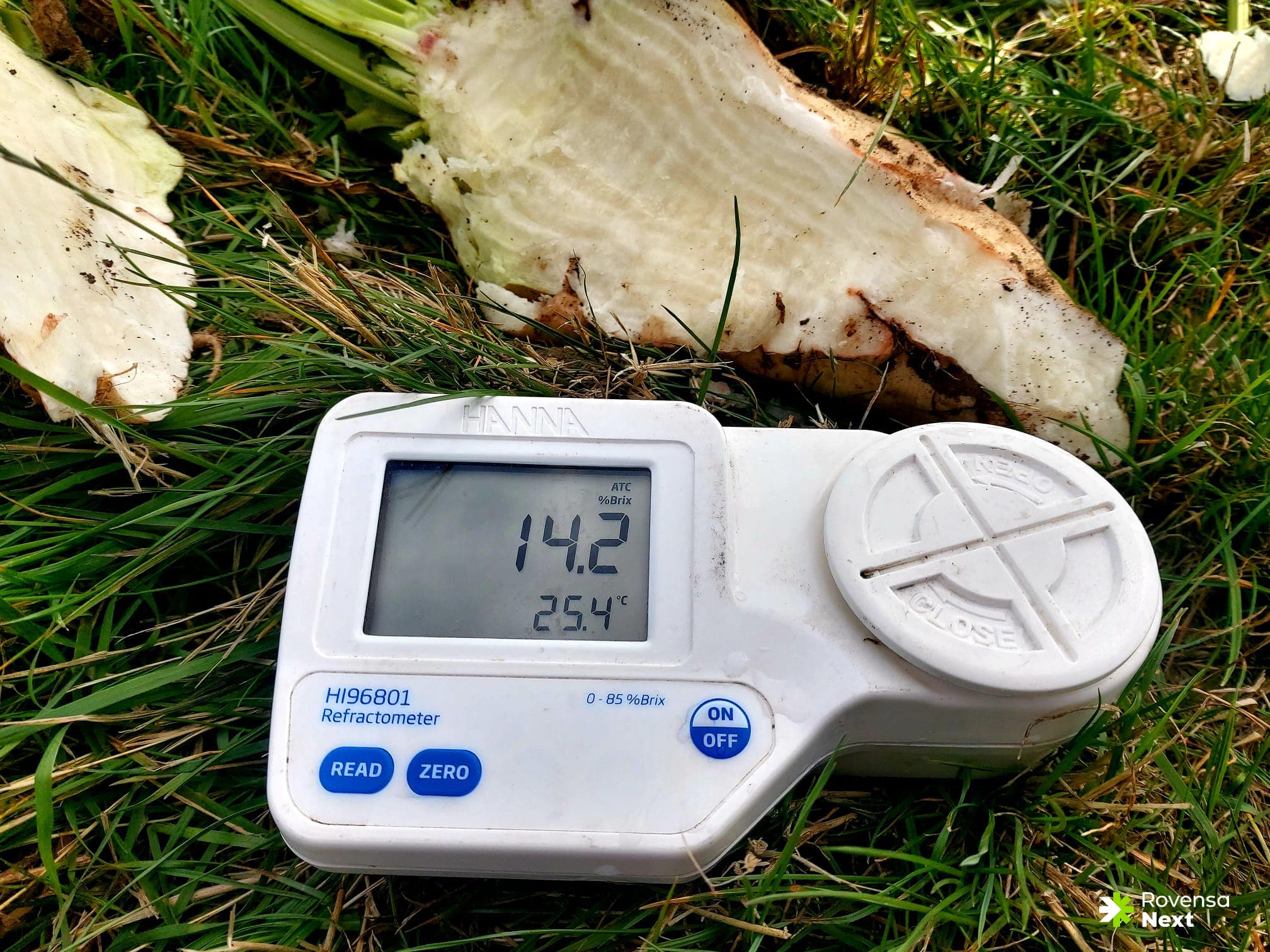 att. 4. Lielāks cukura saturs konstatēts tur, kur ArmoniKa 3 l/ha tika smidzināts pirms ražas novākšanas