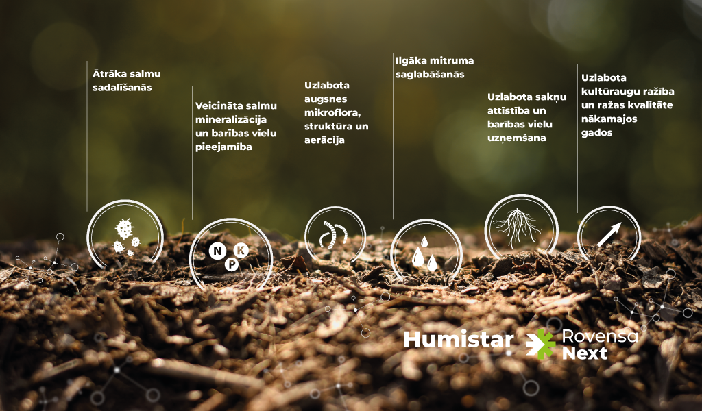 Humistar LV_Plan de travail 1